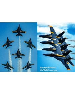 BLUE ANGELS FLEUR DE LIS/ECHELON POST CARD