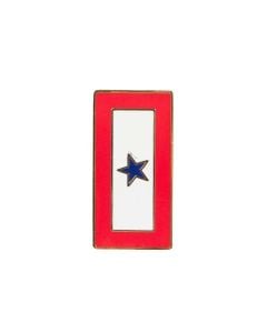 BLUE STAR ONE- PIN