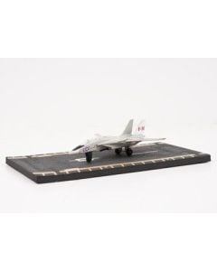 HOT WINGS F-14 TOMCAT
