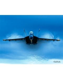 BLUE ANGELS PRINT - HEAD ON
