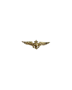 .75" NAVAL AVIATOR WING PIN