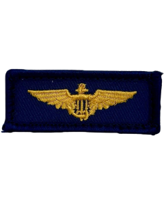 NAVAL AVIATOR WINGS BEAR PATCH