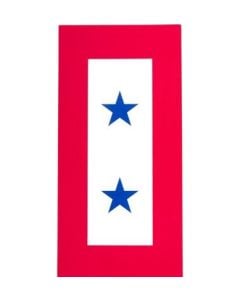 TWO BLUE STAR AUTO MAGNET
