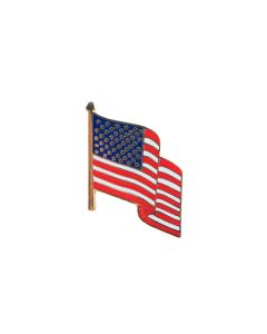 USA FLAG PIN