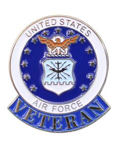 US AIR FORCE VETERAN PIN