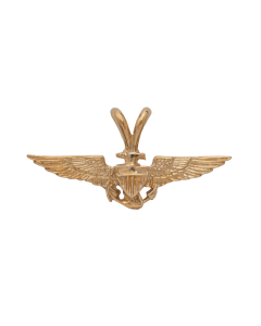 1" NAVAL AVIATOR WING PENDANT