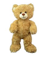 TAFFY THE BABY BEAR
