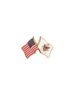 US COAST GUARD/ US FLAG PIN