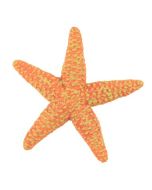 ORANGE STARFISH