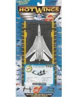 HOT WINGS - NAVY F-14 TOMCAT JOLLY ROGER