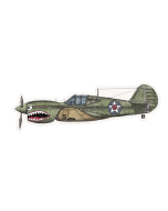 P-40 FLYING TIGER STICKER