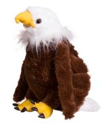 Liberty the Bald Eagle Baby