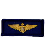 NAVAL AVIATOR WINGS BEAR PATCH
