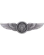 AIR FORCE BASIC AIR WING 3D PIN