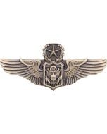 AIR FORCE MASTER AIR WING 3D PIN