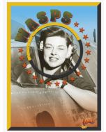 WASPs of WWII: Female Pilots Nonfiction Book