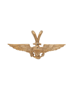 1" NAVAL AVIATOR WING PENDANT